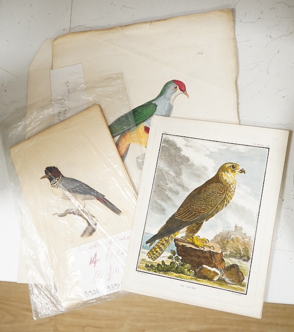 After Jacques de Sève (French, Act.1742 –1788), a set of four ornithological colour etchings to include ‘Le Sacre’ and ‘Le Milan’ together with a later set of coloured engravings, published March 1828, G B Whittaker, Lon